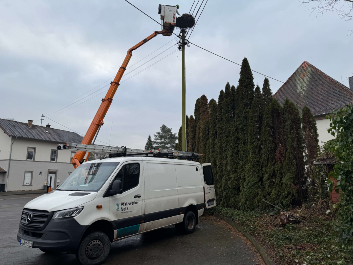 Arbeiter_der_Pfalzwerke_Netz_AG_bauen_Storchennest_in_Theisbergstegen_ab | © Pfalzwerke